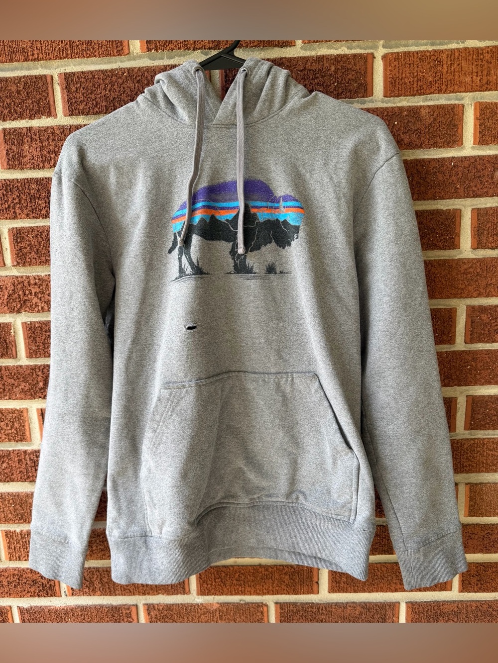 Patagonia Boys Fitz Roy Bison Uprisal Hoody Long Sleeve Hoodie Sz Small